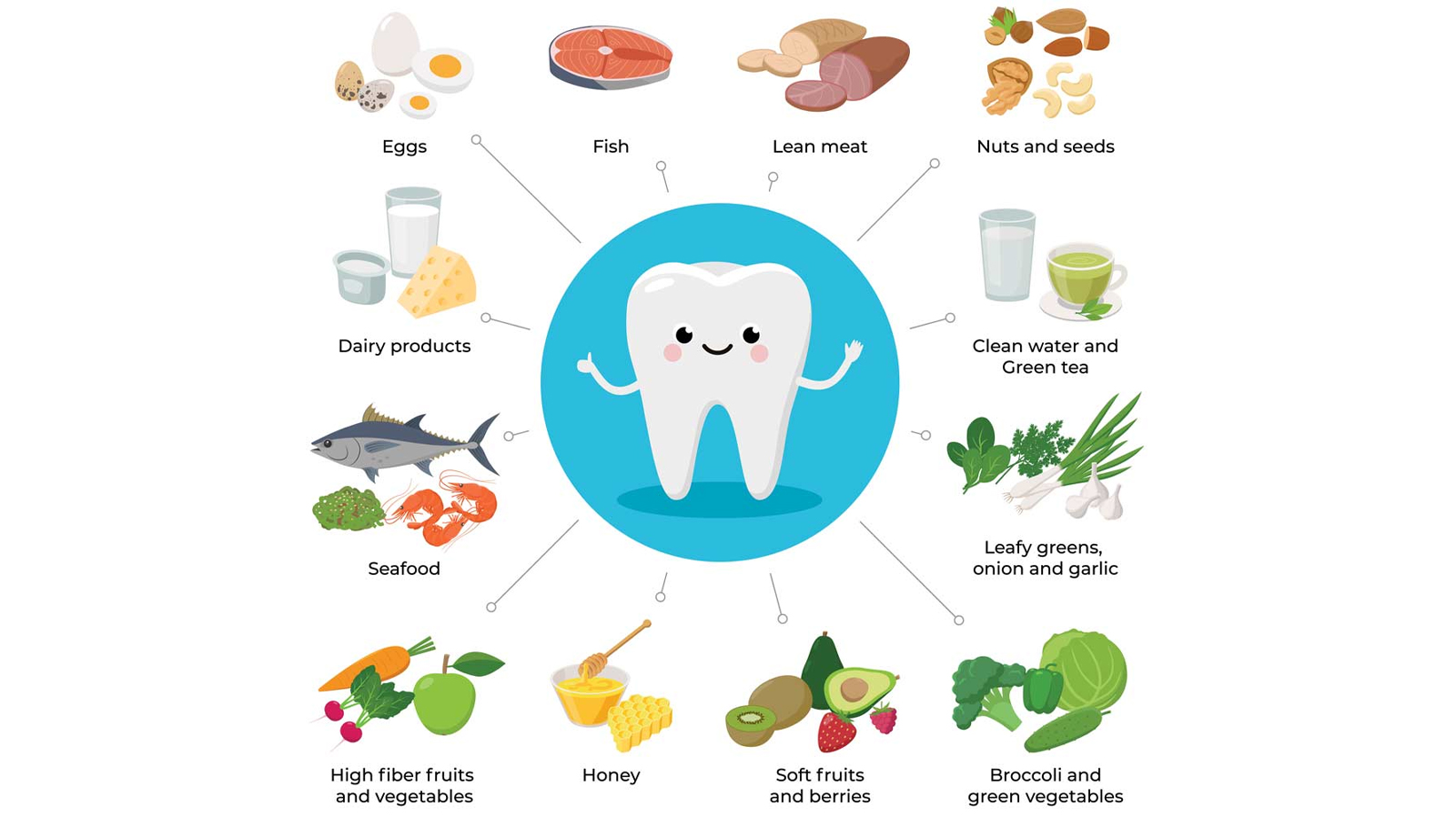 # What Are Incisors and Their Functions?