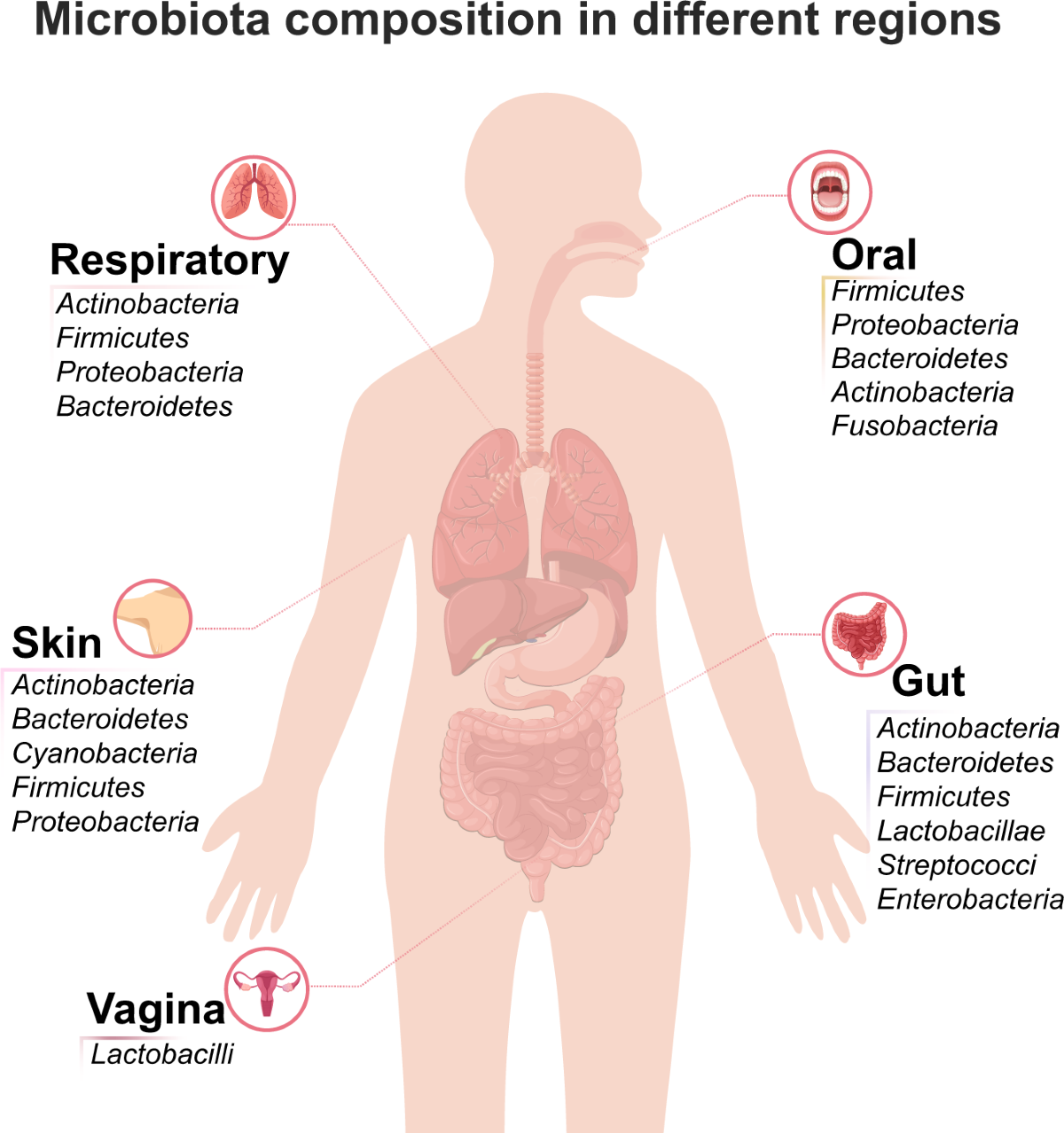 # Managing Anxiety During Teeth Growth Phases