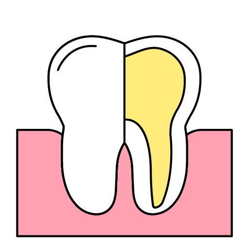 # How Does Tooth Anatomy Influence Dental Procedures?