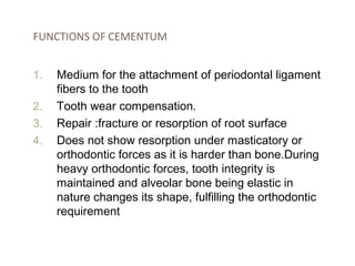 # What Is the Structure of a Tooth?