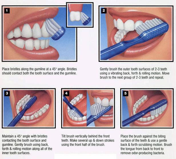 # How to Create a Teeth Brushing Routine