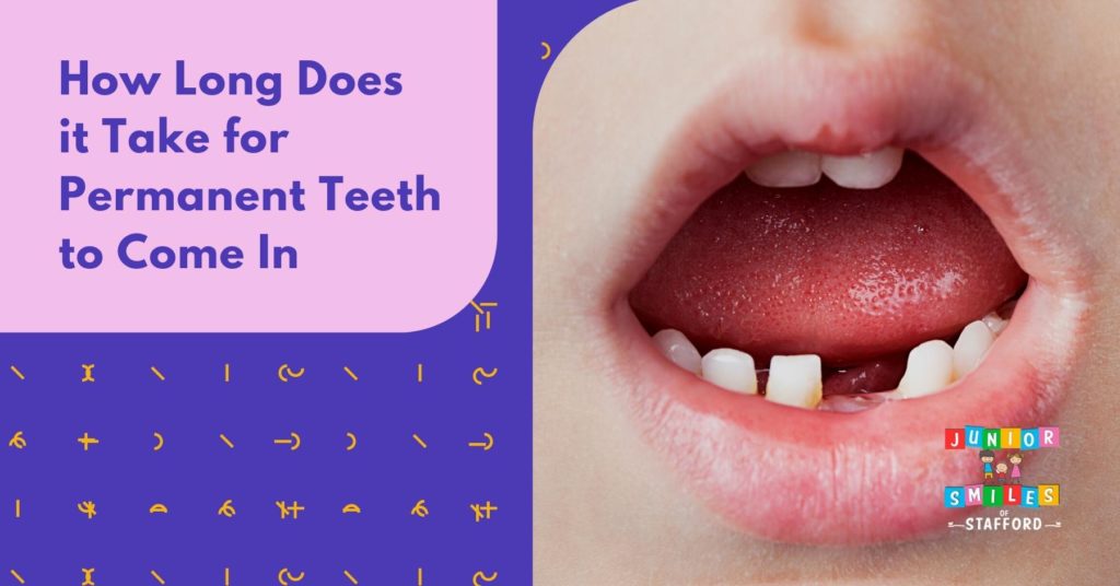 # Teeth Growth Timeline: What Parents Should Know