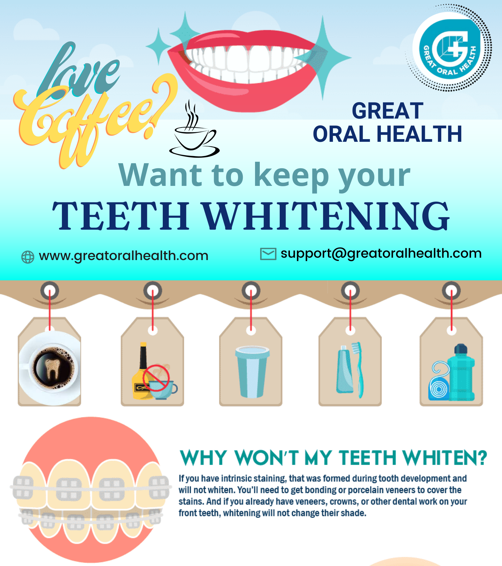 # Molars: The Powerhouses of Chewing