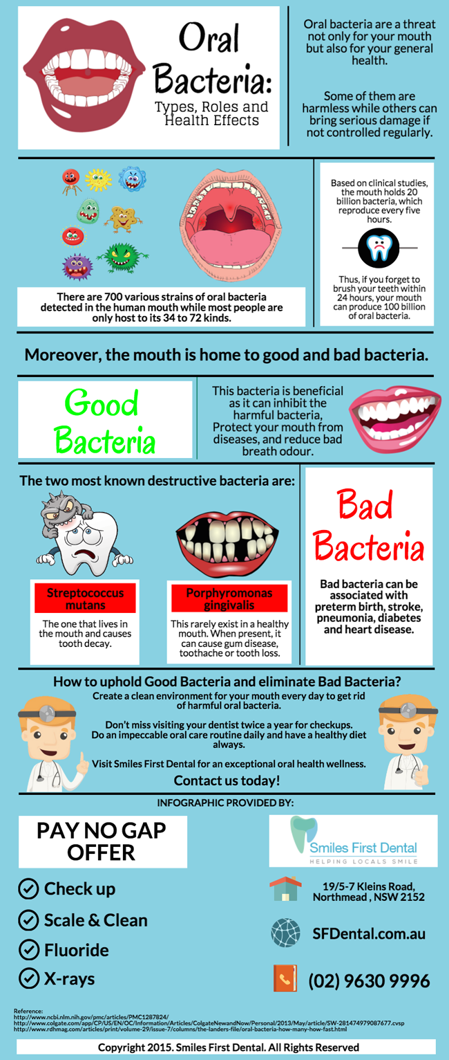 # Identifying Your Teeth Types: A Guide