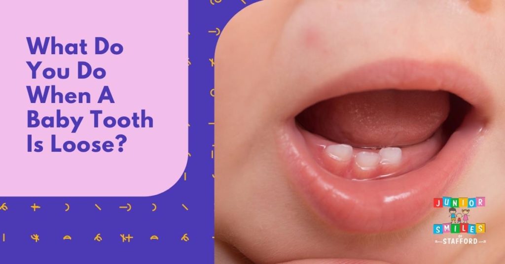 # How Are Teeth Connected to the Jaw?