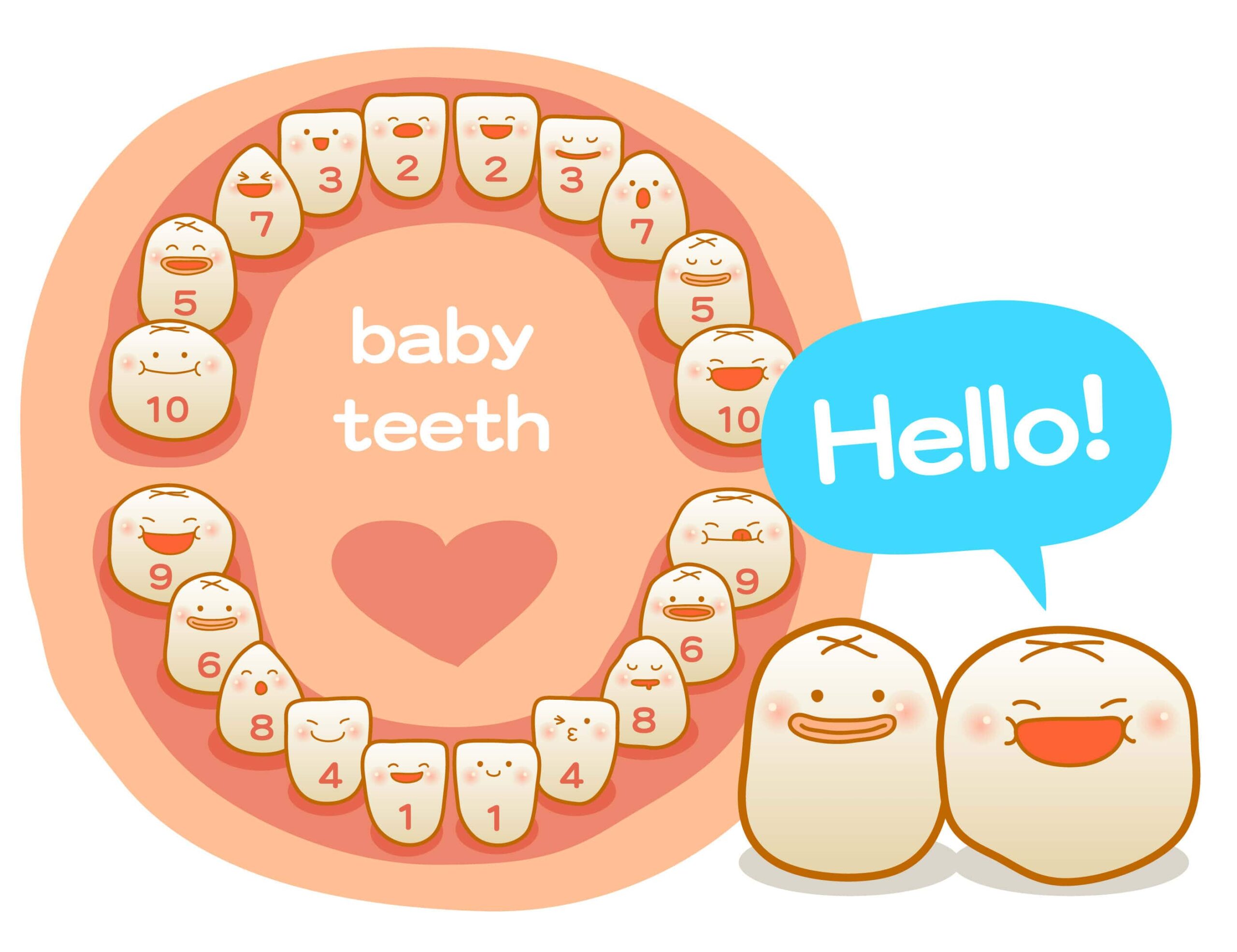 # How to Support Your Child’s Teeth Growth