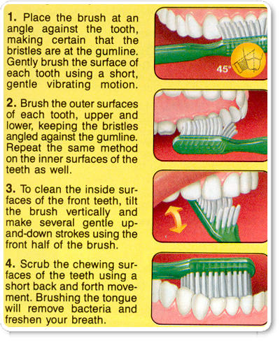 # How to Brush Your Teeth Properly