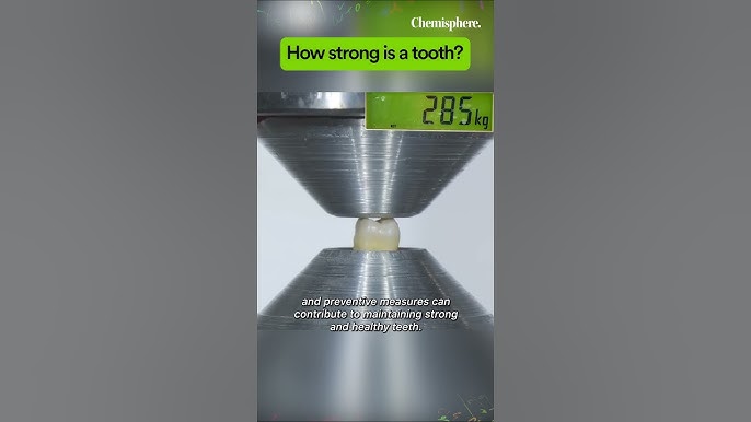 # What Is the Anatomy of a Healthy Tooth?