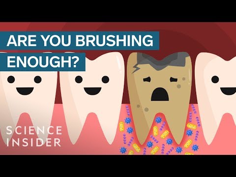 # How Often Should You Brush Your Teeth?