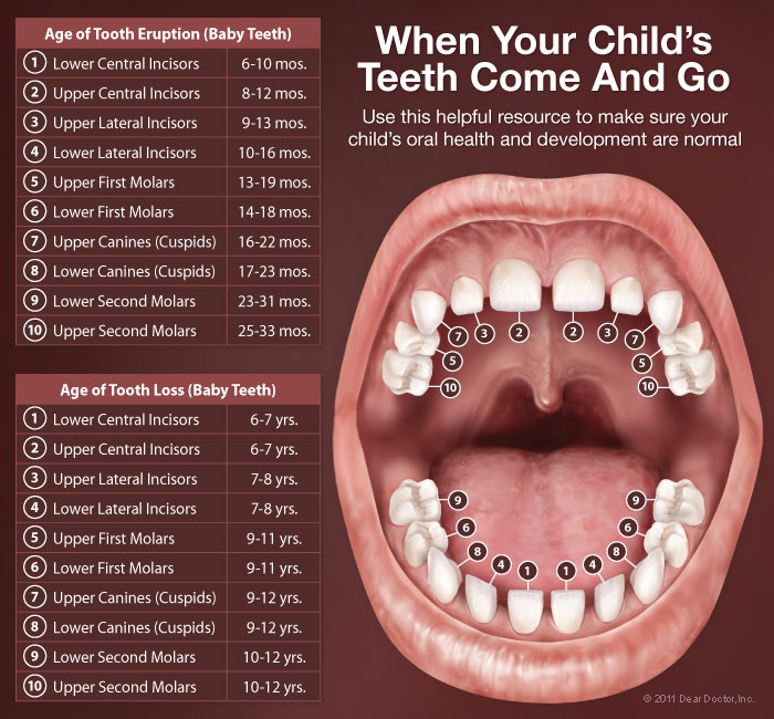 # Signs of Healthy Teeth Growth in Kids