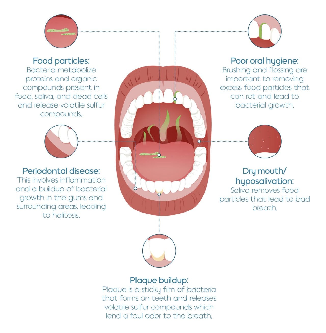 # The Connection Between Teeth Growth and Overall Health