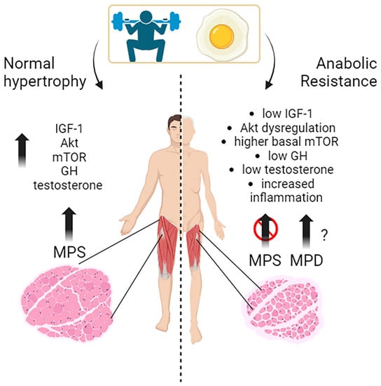 # Understanding the Impact of Hormones on Teeth Growth