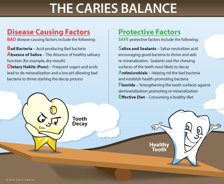 # What Are the Anatomical Features of Decayed Teeth?